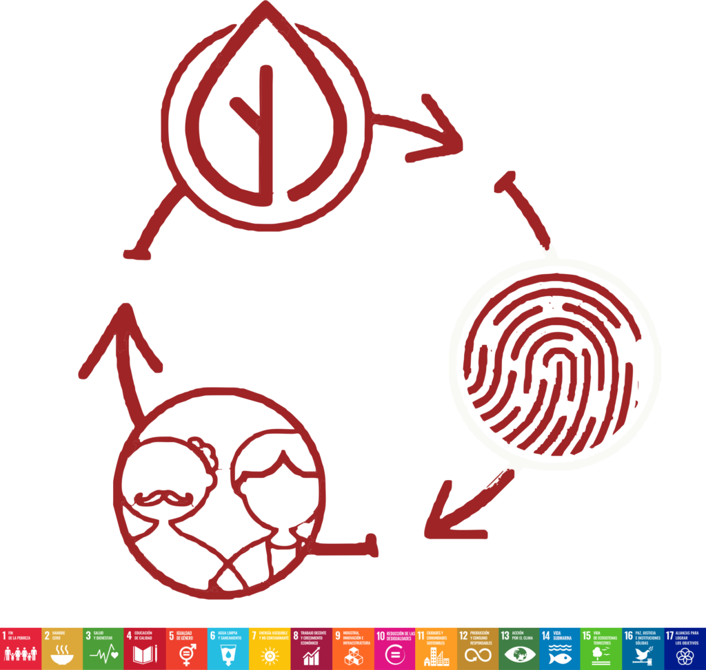Transición Local 2030